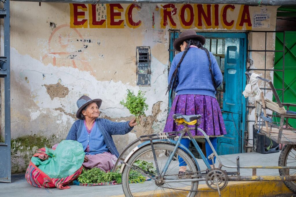 Cultural Exchange Programs