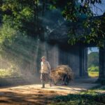 Morning Routine Ideas for Success