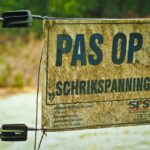 Language and Culture Insights