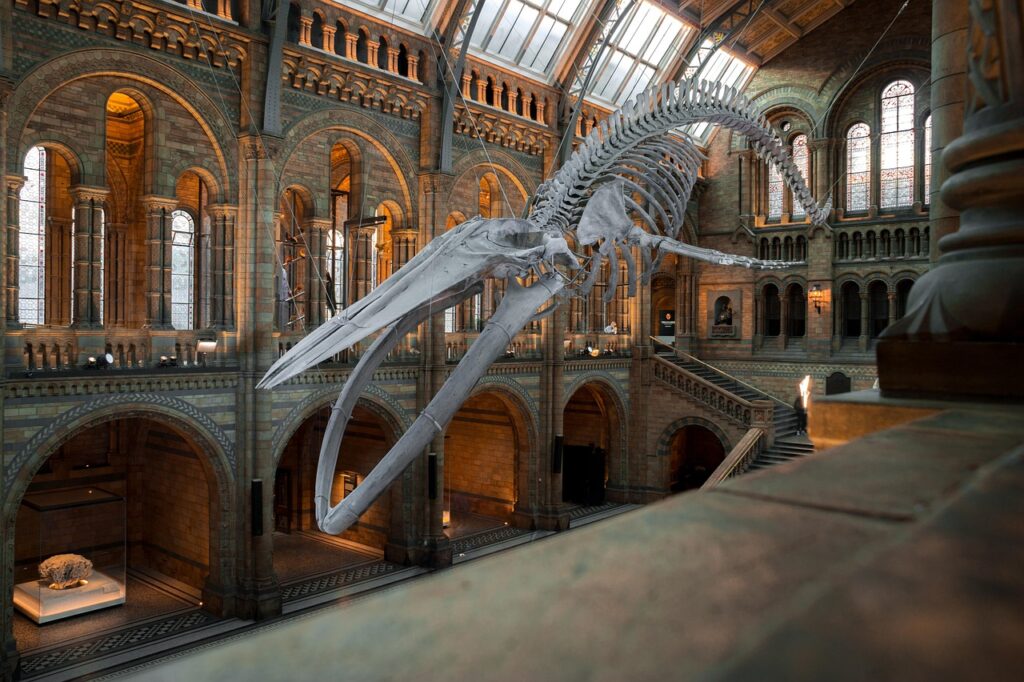 Honest Take On Museum Travel