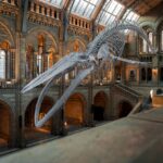 Honest Take On Museum Travel