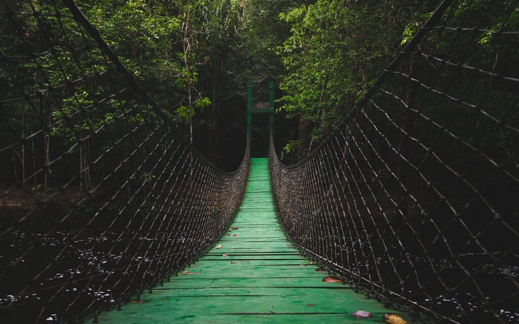 Eco-Tourism Guide
