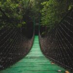 Eco-Tourism Guide