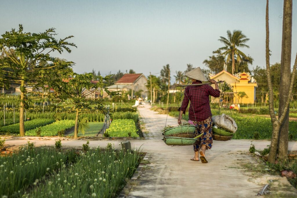 Advanced Local Travel Strategies