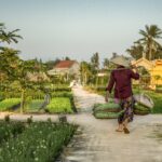 Advanced Local Travel Strategies