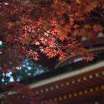 Advanced Strategies for Heritage Sites