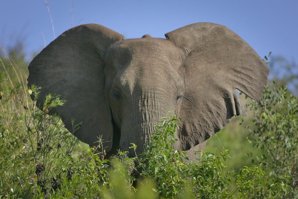 Eco-Tourism Destinations
