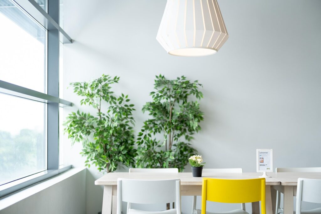 Debunking Minimalist Living Myths