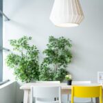 Debunking Minimalist Living Myths