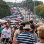 Rediscovering Local Travel