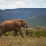 Eco-Tourism Destinations Guide