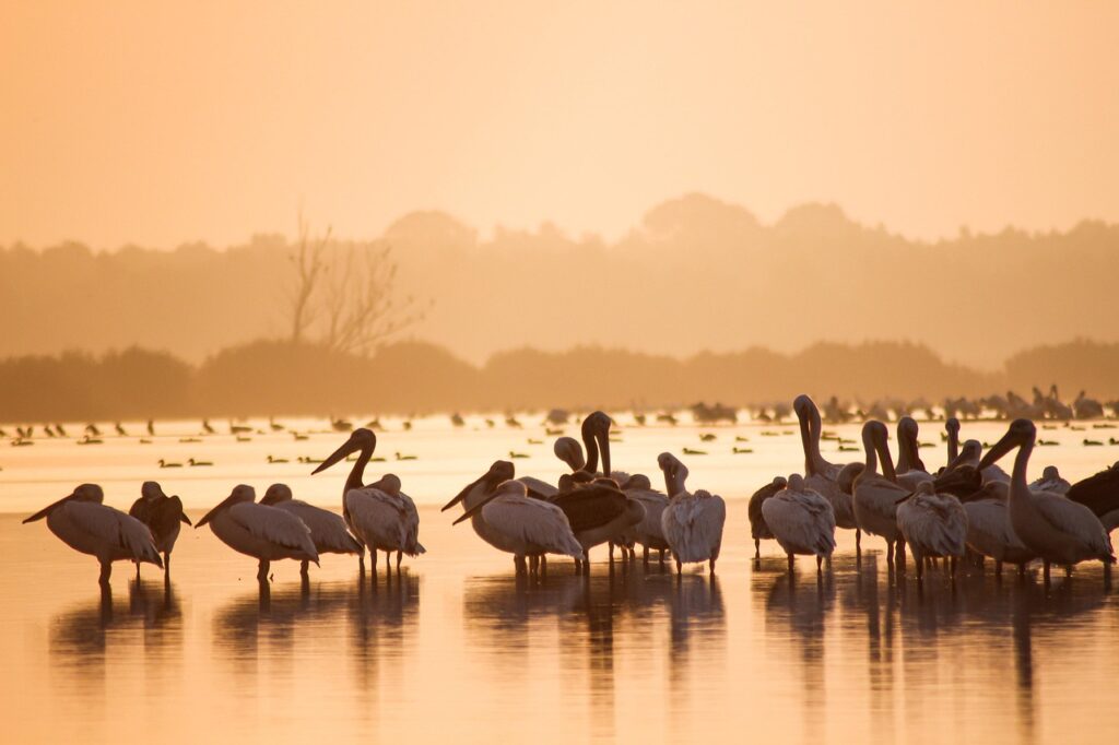 Eco-Tourism Guide For Sustainable Travel