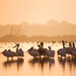 Eco-Tourism Guide For Sustainable Travel