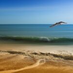 Beach Destinations 2026