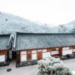 Exploring Cultural Traditions Worldwide