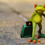 Travel Bucket List Strategies