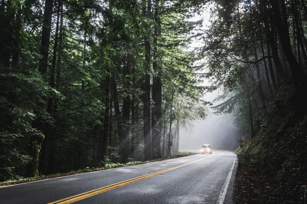 Road Trip Ideas Explained